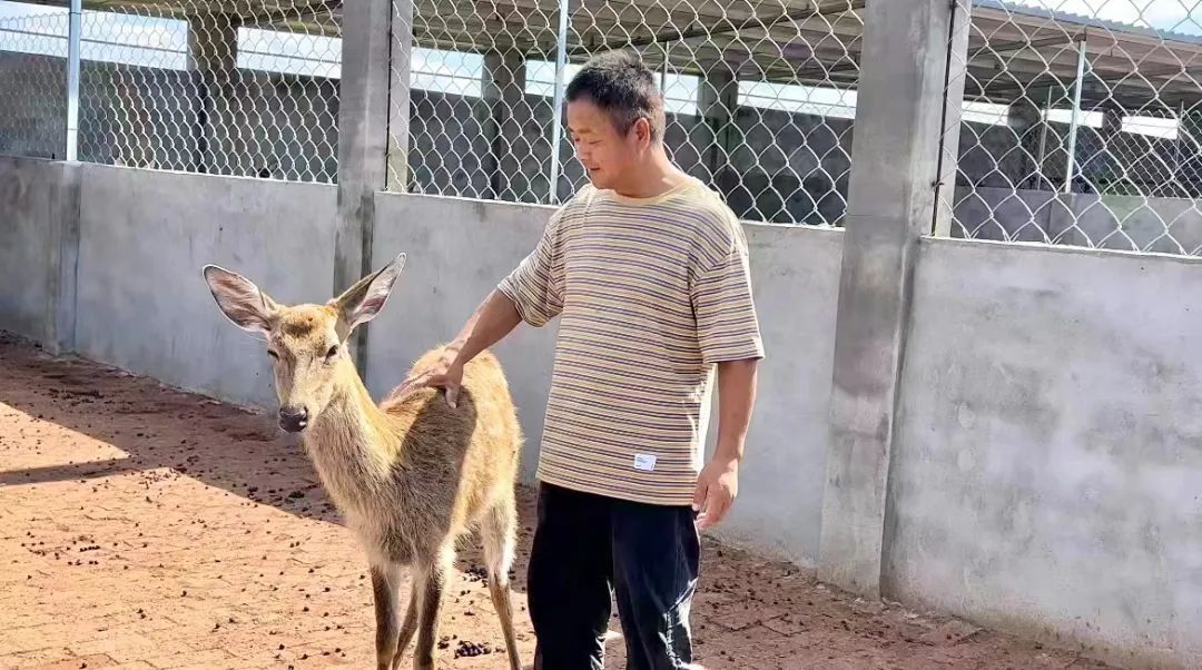 12博官网 真人